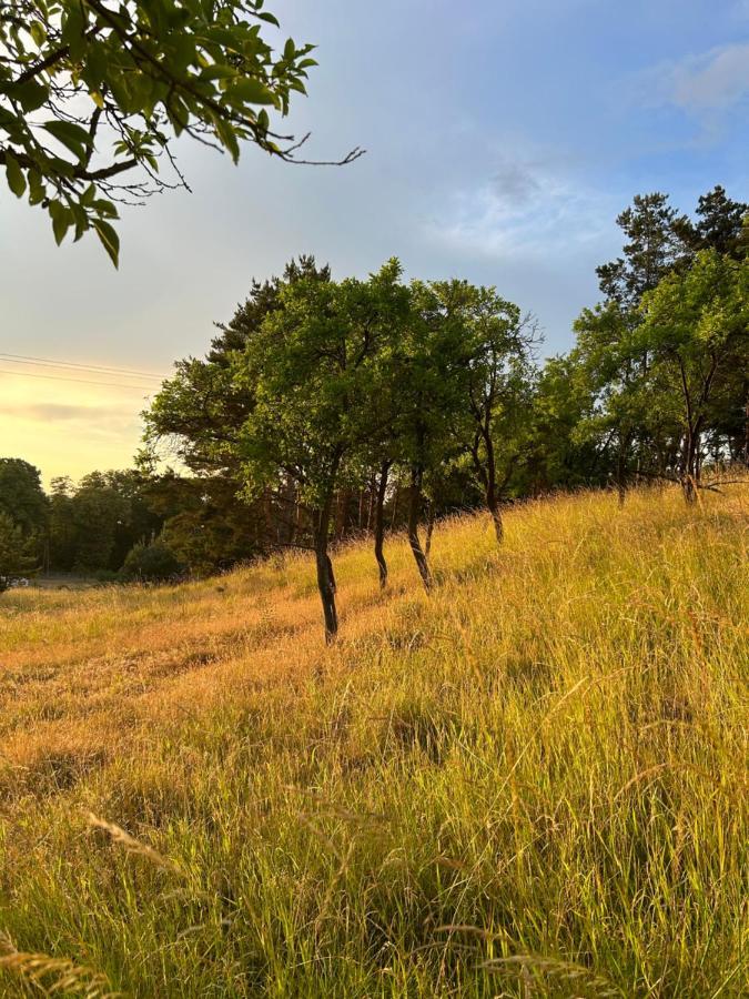 Swiety Spokoj Bielinek Cedynia Bagian luar foto