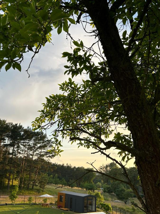 Swiety Spokoj Bielinek Cedynia Bagian luar foto